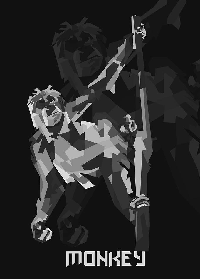 monkey range