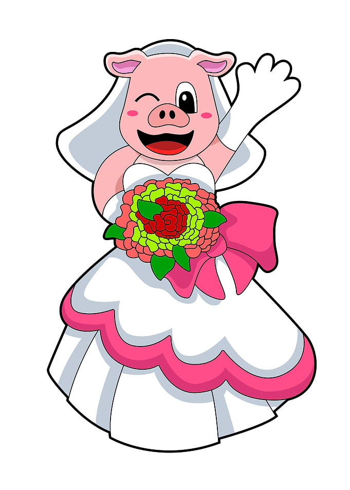 Pig Bride Wedding dress