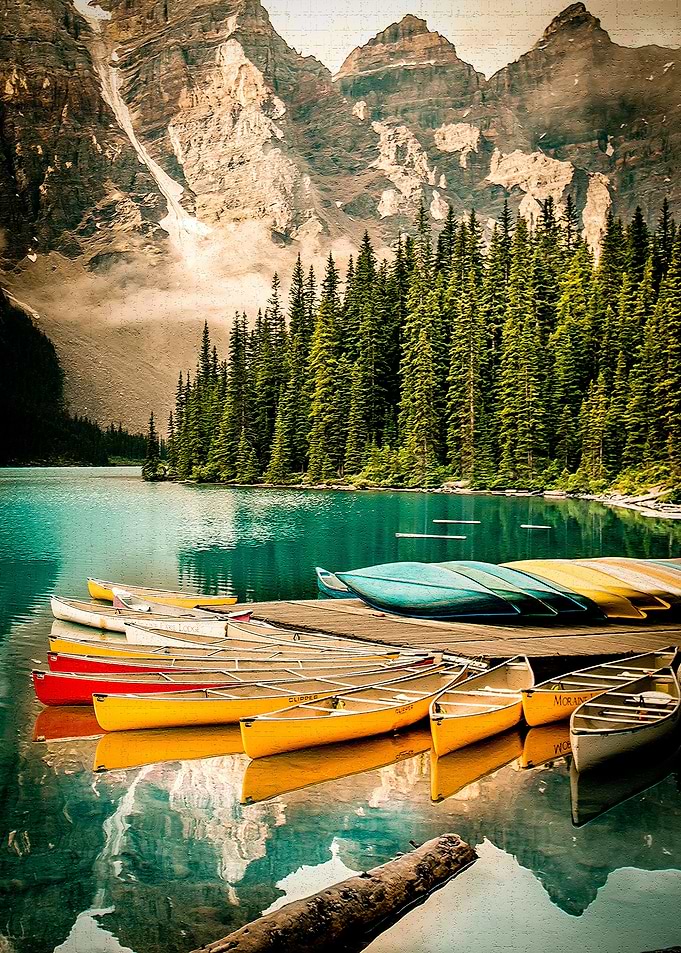 A happy place