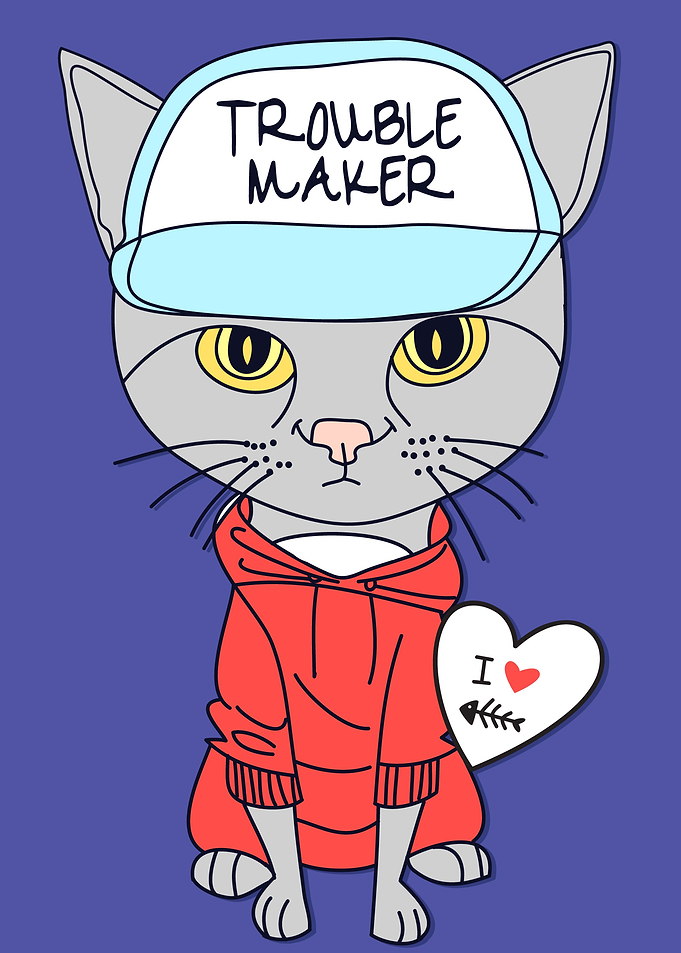 trouble maker cat
