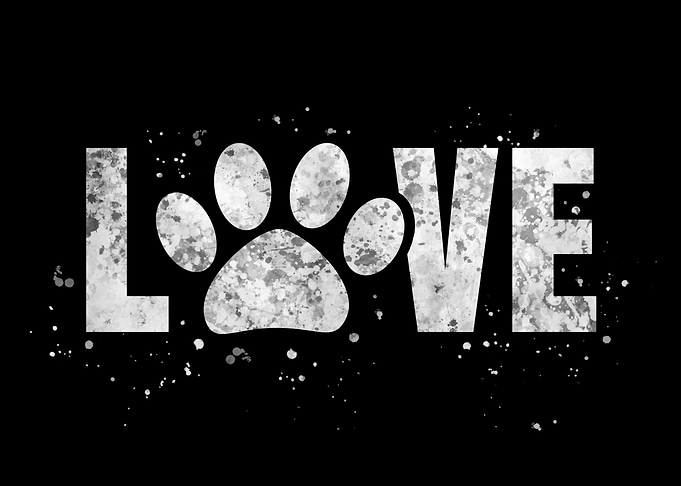 Dog lover