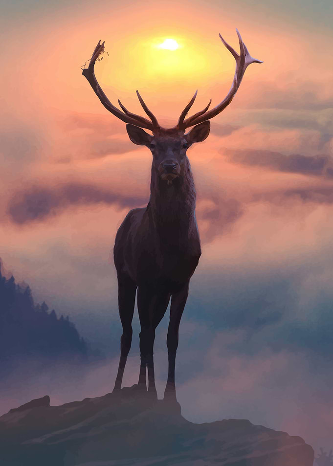 Deer 4