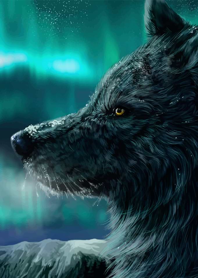 Wolf 3