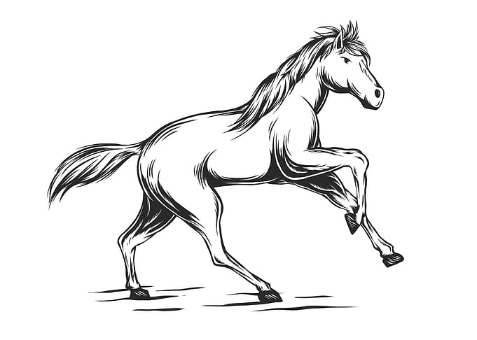 Great Horse