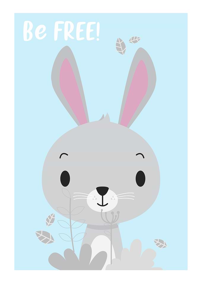 Bunny