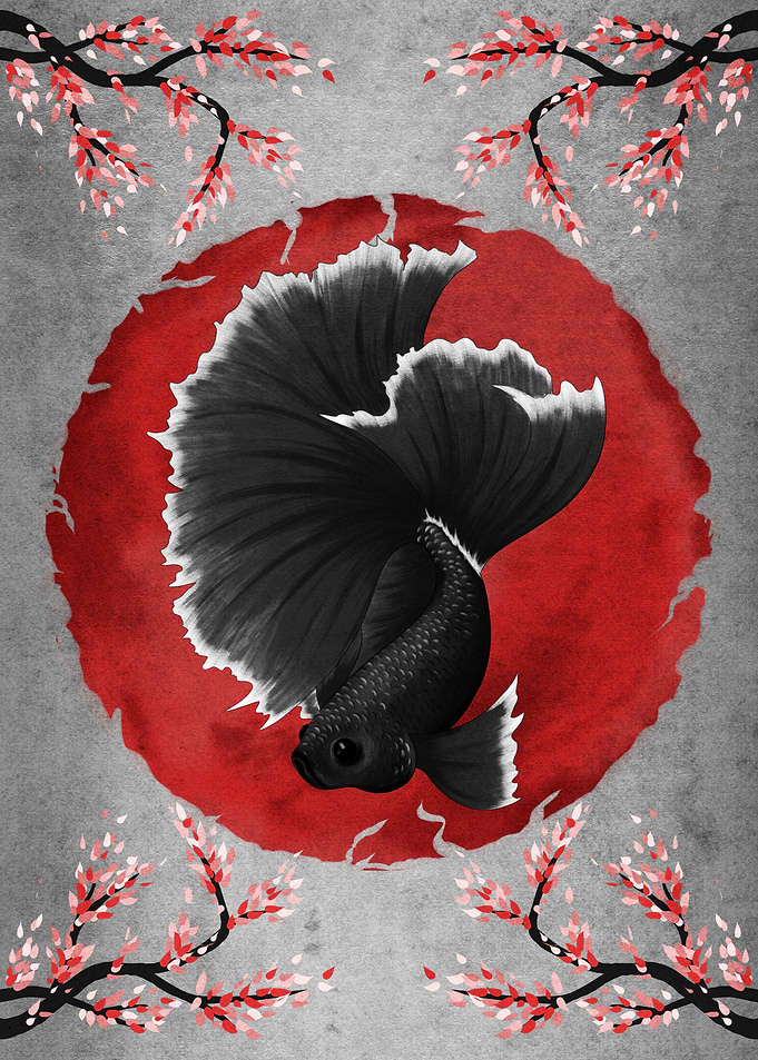 Betta Fish