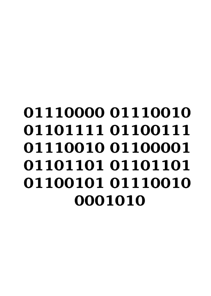 Programmer