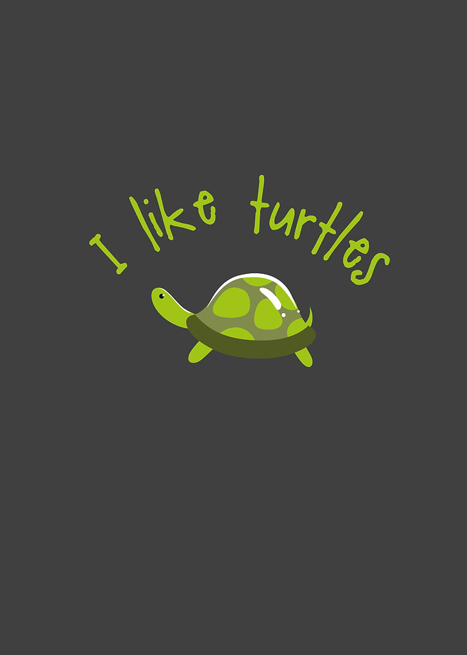 I like Turtles Tortoise