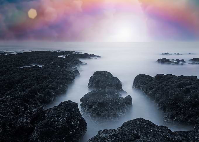 Algae Reef Landscape