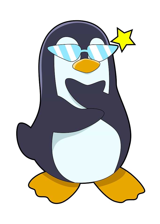 Penguin Sunglasses