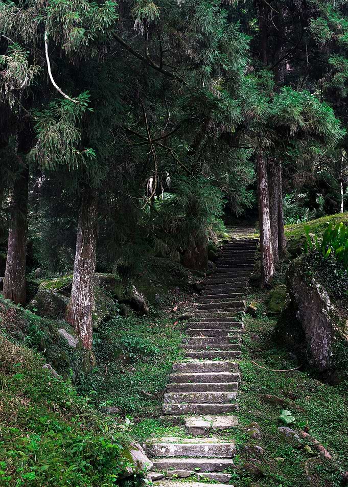 Walking Trails