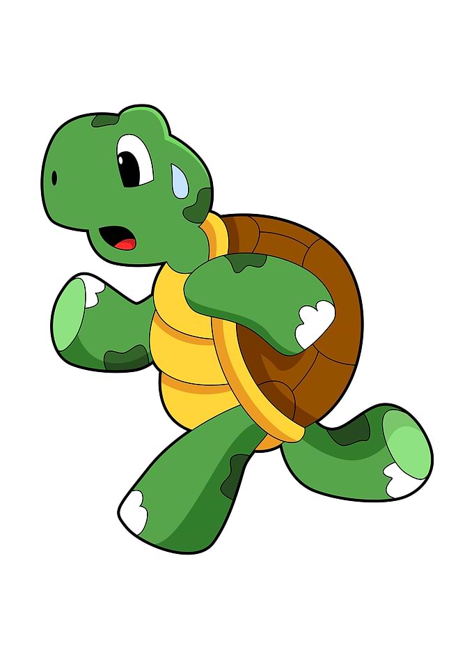 Turtle Fitness Running