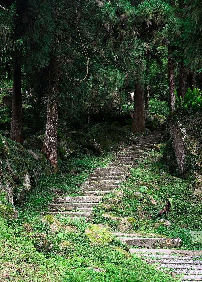 Walking Trails