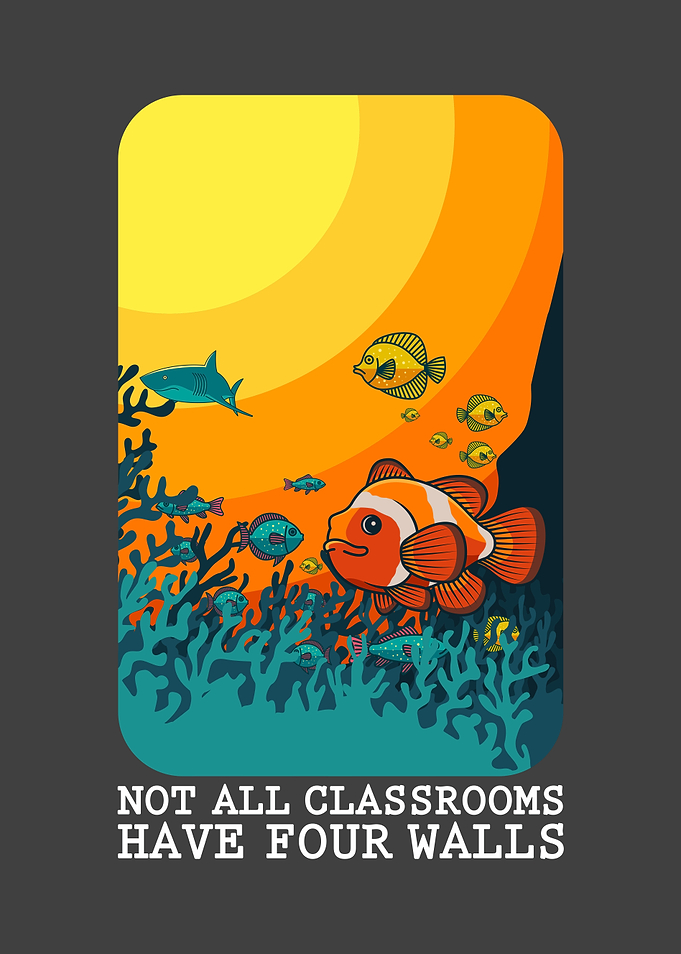 Not All Classrooms Have