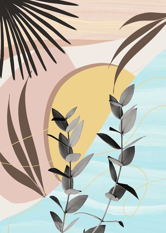 Eucalyptus Tropic Oasis 3