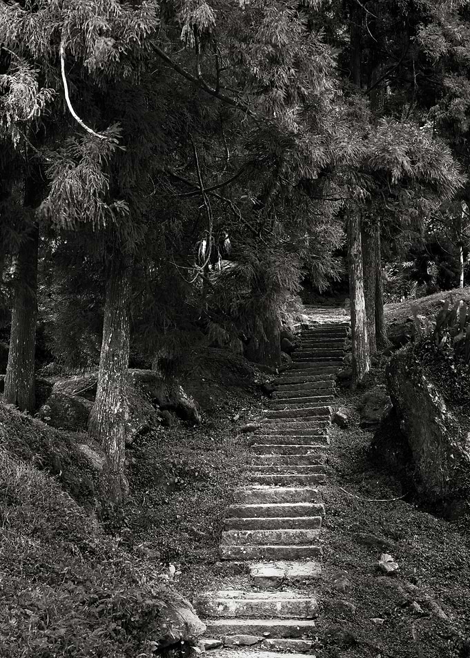 Walking Trails