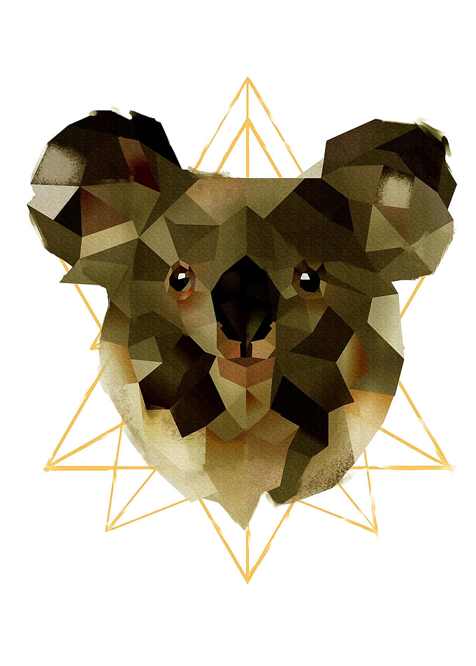 Koala