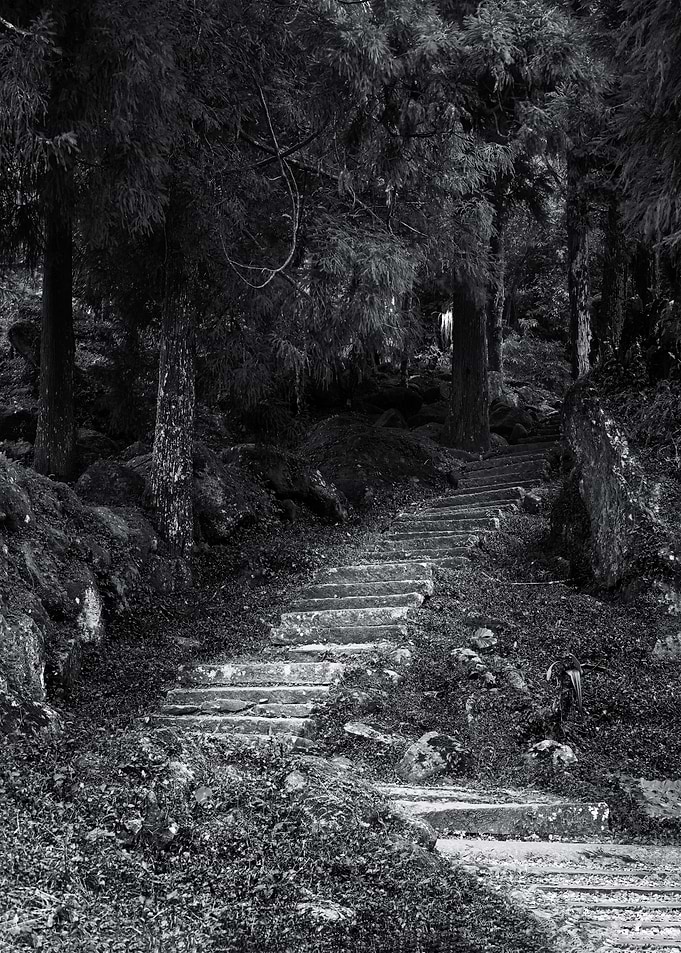 Walking Trails
