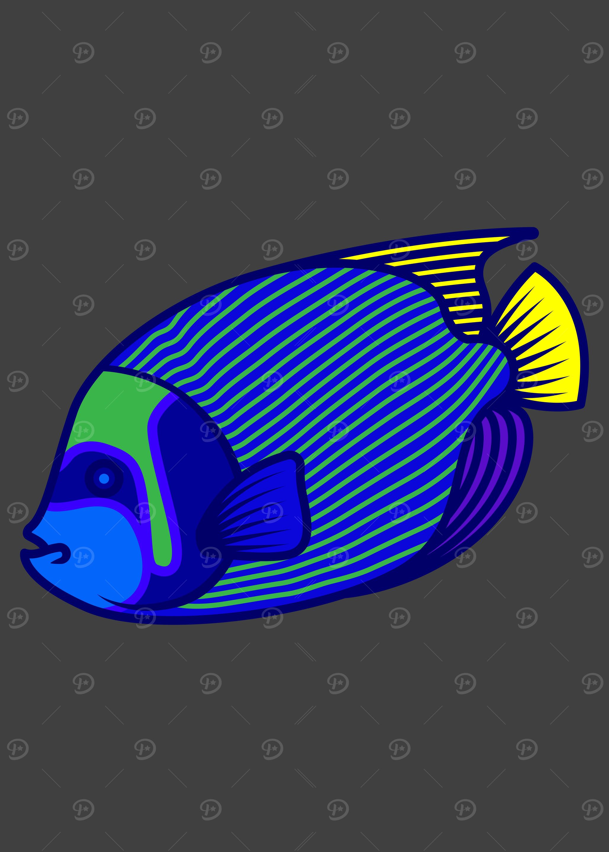 Marine Angelfish Aquarium