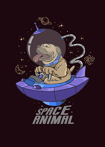 Dog spaceship