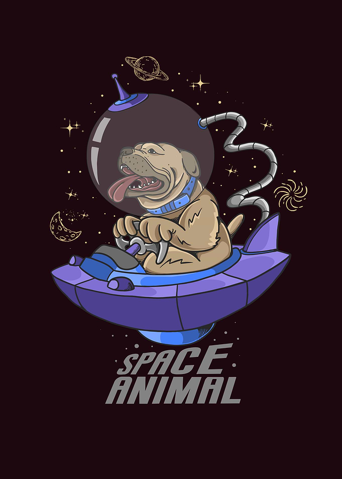 Dog spaceship
