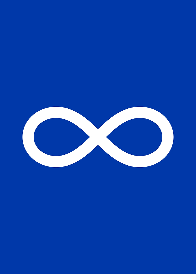 Metis Flag