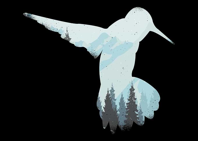 Kingfisher Gift