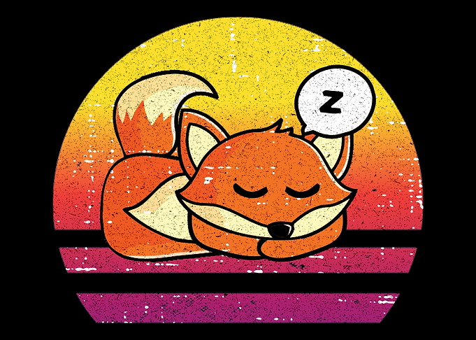 Cute fox gift