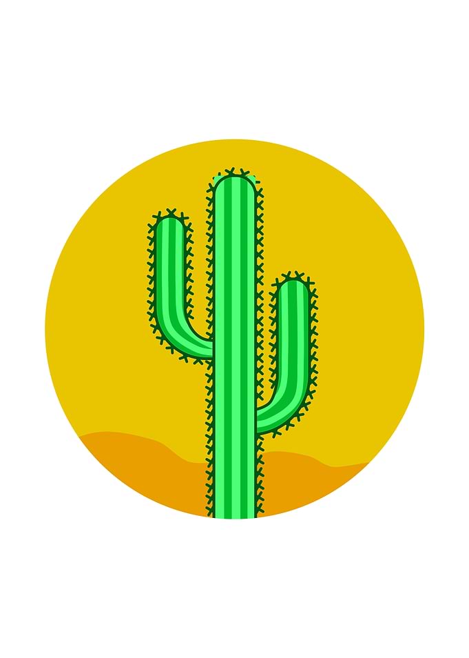 Cactus minimalist art