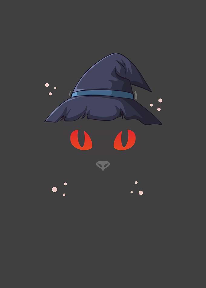 Sweet witch cat