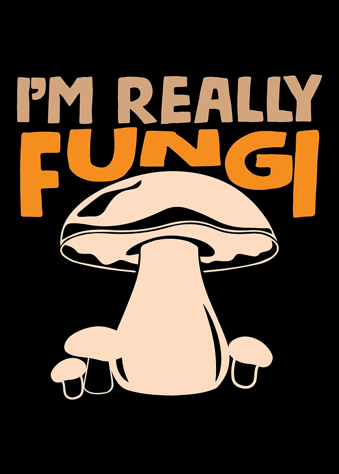 Mushroom Fungi Foraging