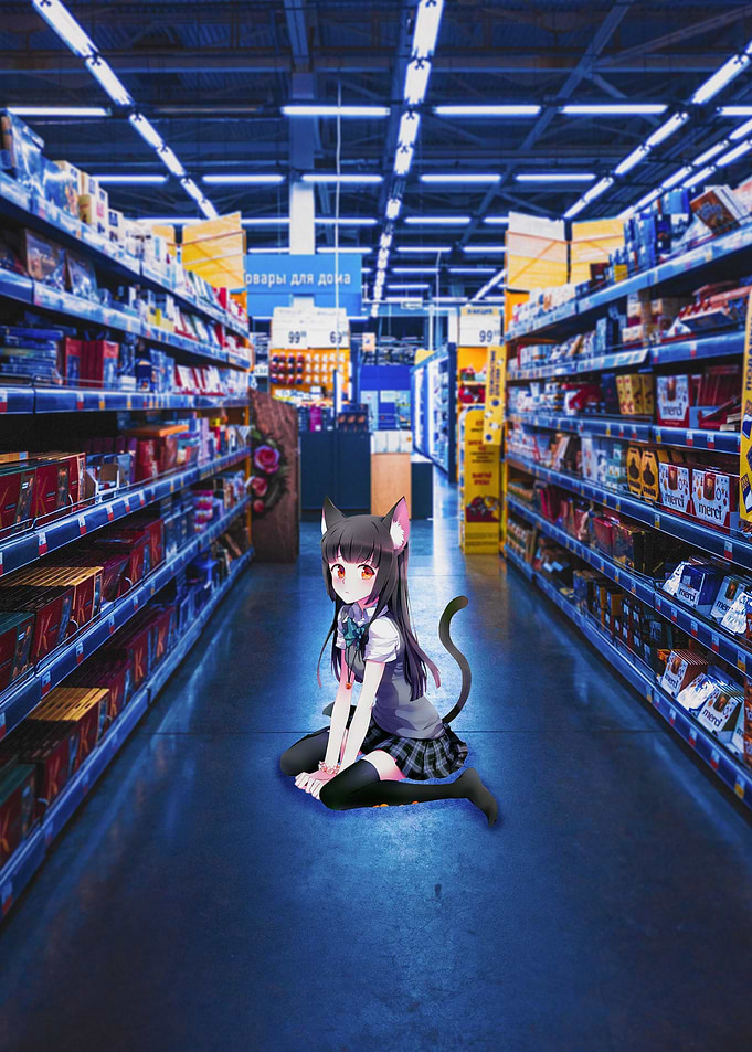 Cat in the store