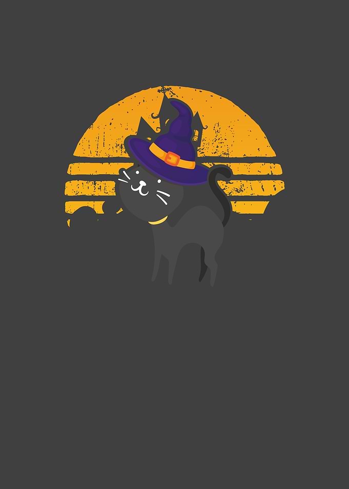 Sweet witch cat