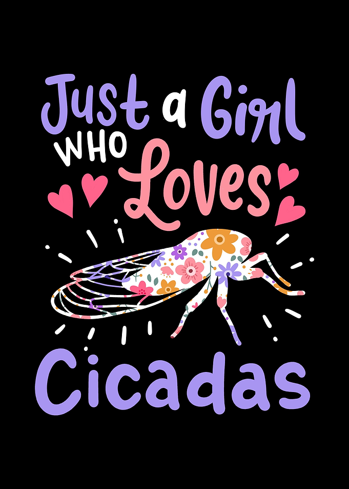 Cicada Insect