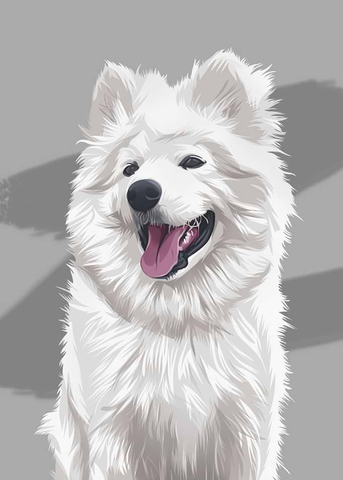 DOGGIES SMILE