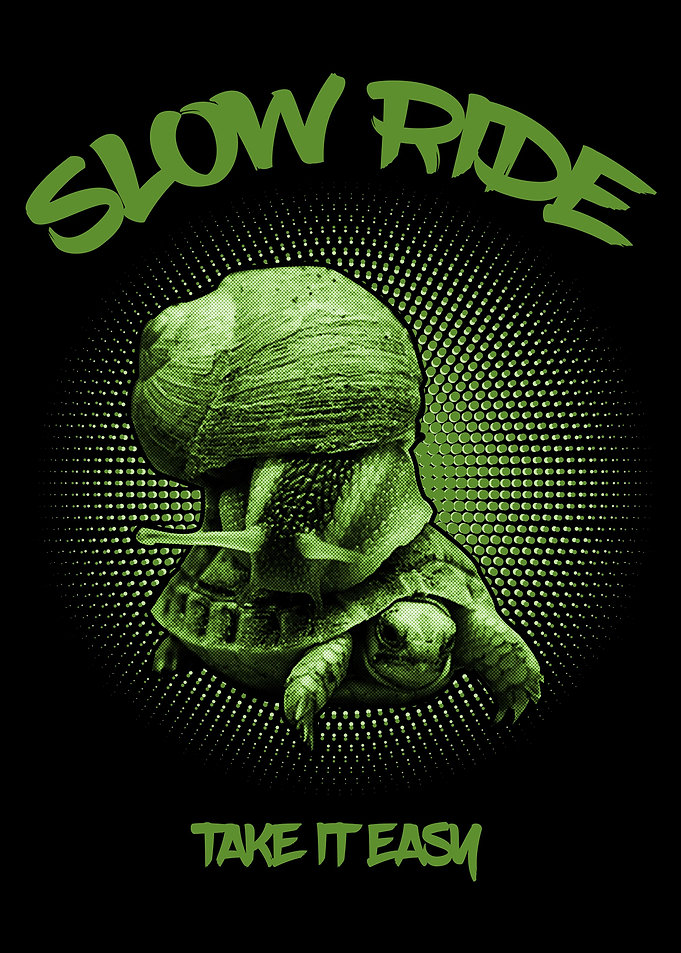 Snail on Turtle Funny