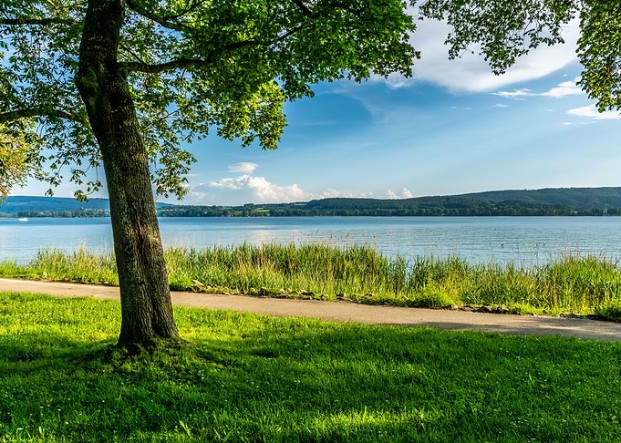 sunny lakeshore