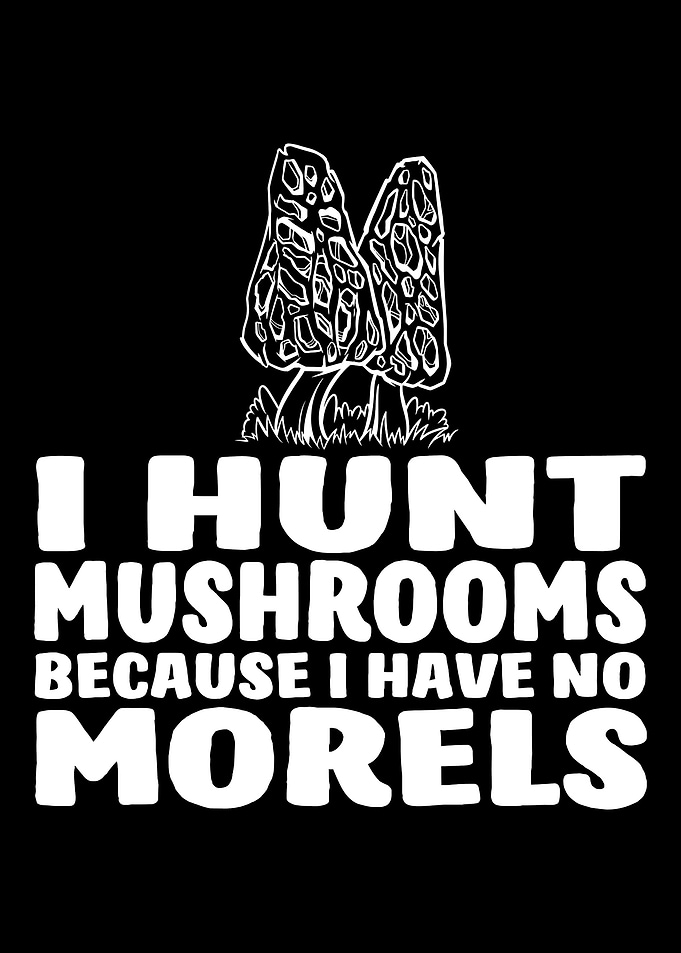 Mushroom Fungi Foraging