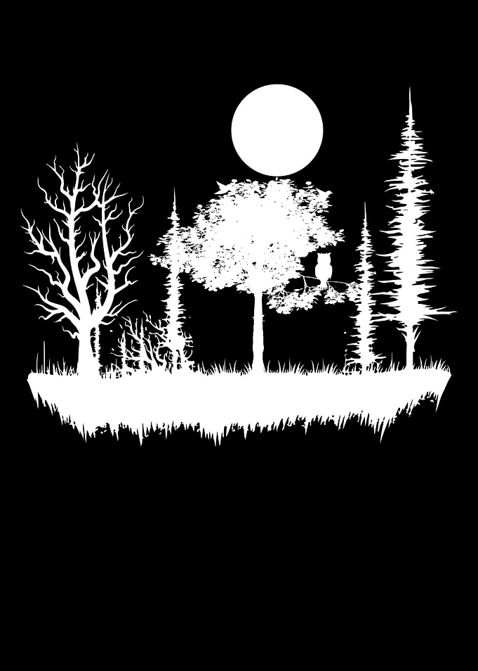 Forest Nature Wilderness