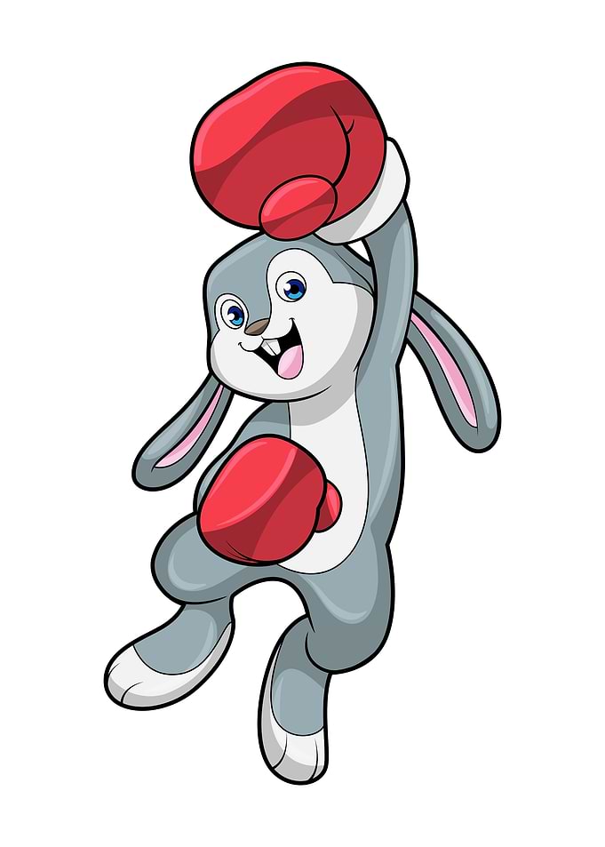 Rabbit Boxer Boxing Sports