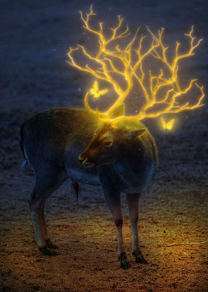 Reindeer glow