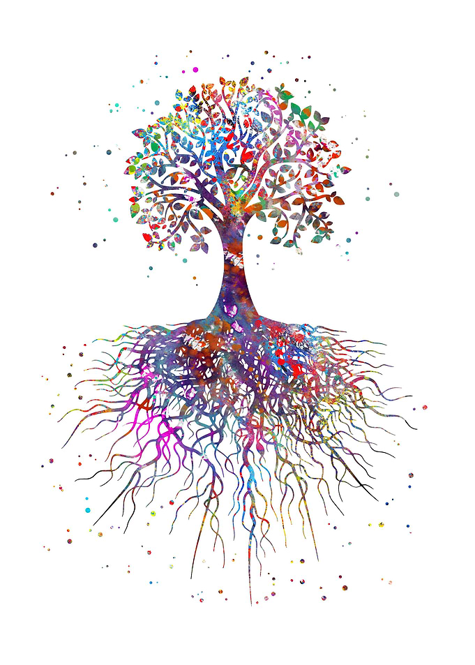 Tree rooted