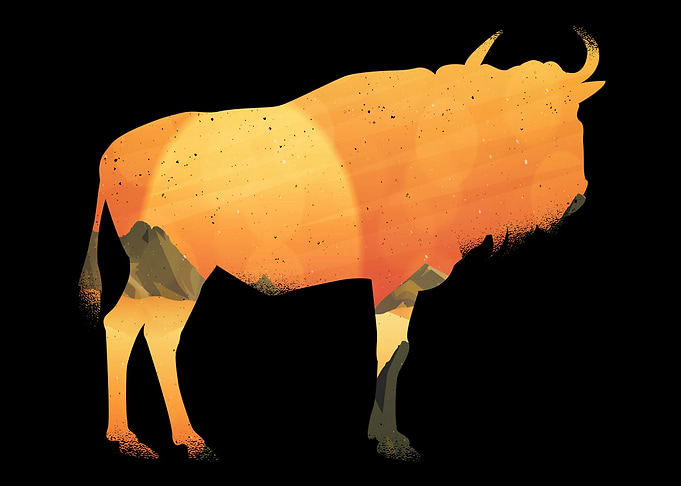 Buffalo Gift