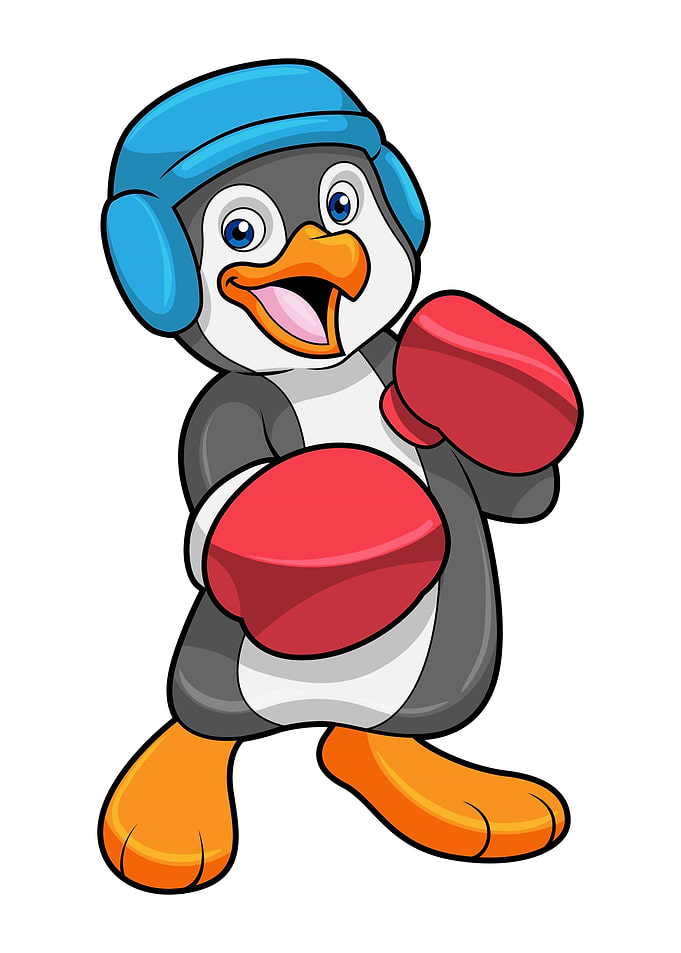 Penguin Boxer Boxing
