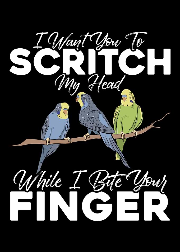 Scritch My Head