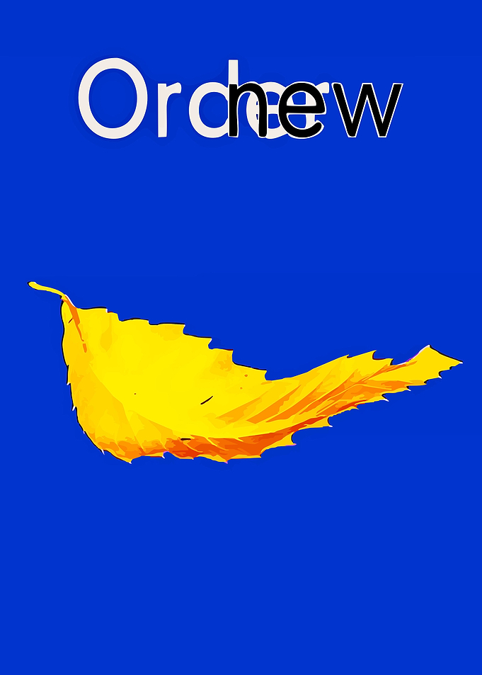 cover albums new order