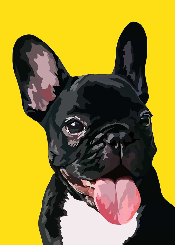 Frenchy