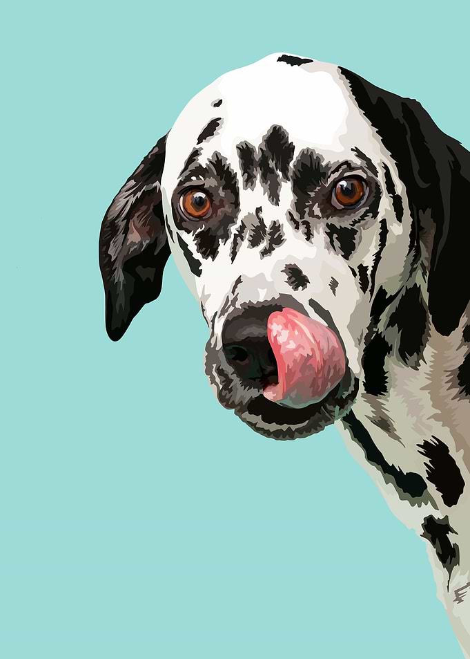 Dotty the Dalmatian