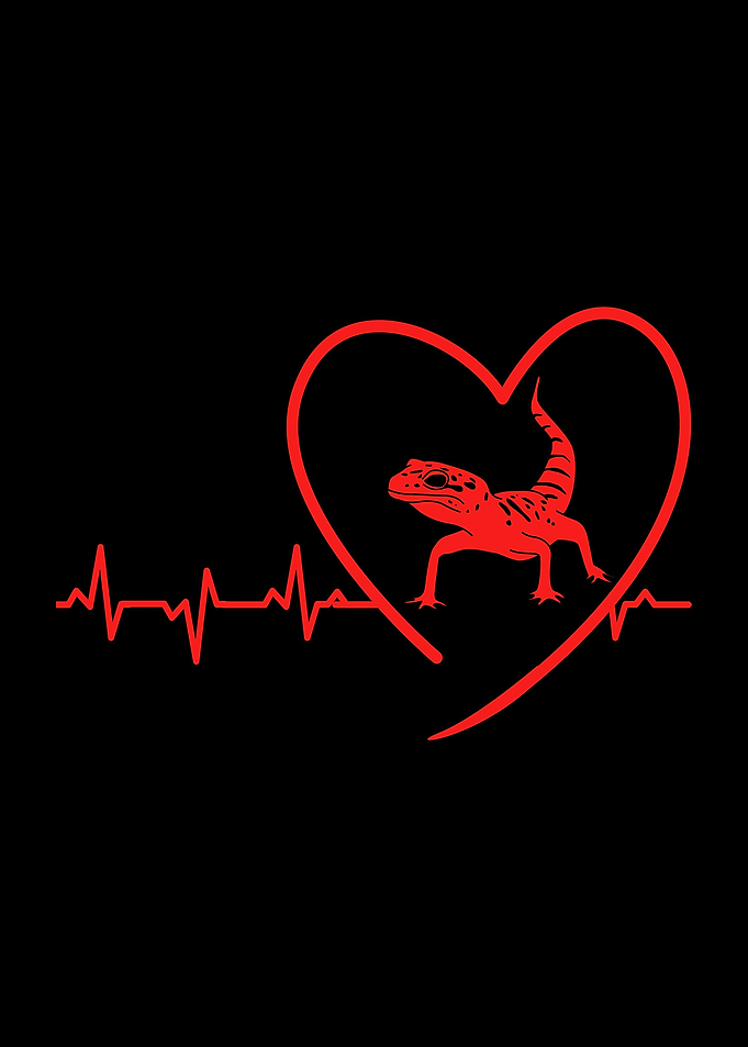 Leopard Gecko Heartbeat