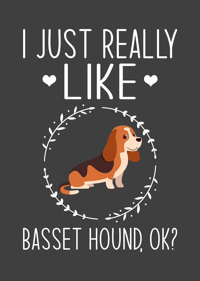 Basset Hound